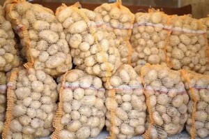 Sprzedam ziemniaki odmiana ignac jurek colombia cena do uzgodnienia 0.5 zl za kg. W razie problemów z kontaktem prosze o SMS-a oddzwonię
