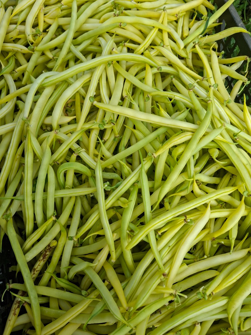 zdjecie-1
