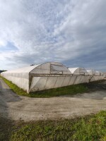 Witam. Posiadam na sprzedaż tunele foliowe pojedyncze i zblokowane.  30*60 1 sztuka 
16*30 4 Sztuki 
9*30 2 sztuki 
Tunele są spawane i gotowe będę do