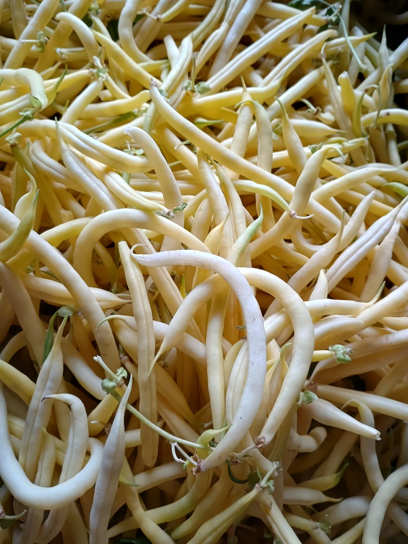 zdjecie-2