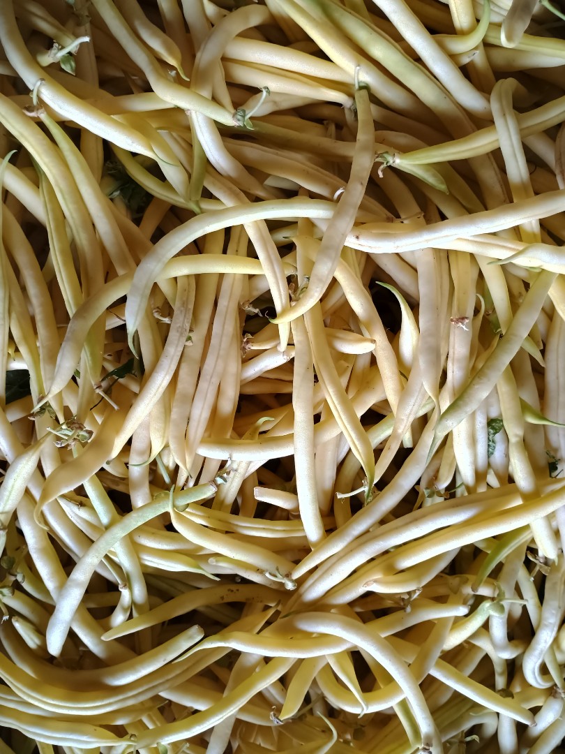 zdjecie-3