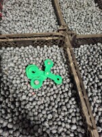 Sprzedam Duke z krzaka 750 kg w dobrej kondycji plast 4 kg tel 502 533 838