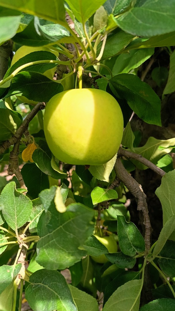 zdjecie-3