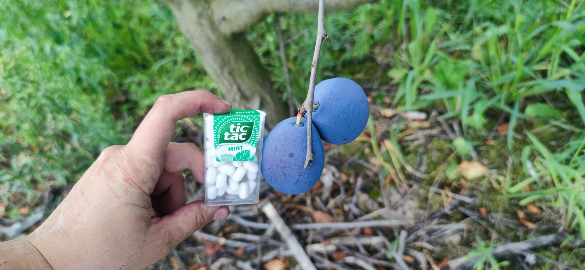 zdjecie-8