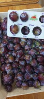 Sprzedam śliwkę Kaberdinka odmiana
Cena 2.30 zł/kg
Kaliber +35
Twarda, jakość market
Ilość 40 ton