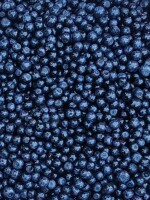Sprzedam jagody leśne (borówka czarna) oczyszczone w ilości 200-300kg. Poszukujemy do współpracy na dłużej :) Towar najwyższej jakości!

Zainteresowan