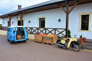 WARKA 2 osoby w wieku 18-40 lat do pracy przy przetwórstwie owocowo warzywnym.