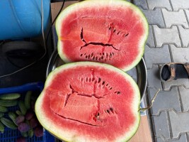 Sprzedam polskiego arbuza drugiego sortu. Skóra pokarbowana, może być pęknięty w środku. Do spożycia nadaje się. Jest soczysty, słodki. Większość duży