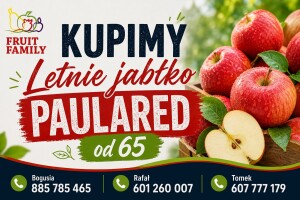 Kupimy Jabłka Letnie