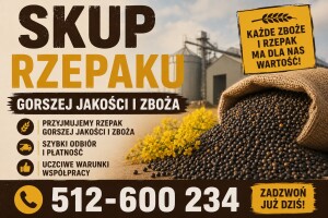 Kupię rzepak gorszej jakości  zanieczyszczony  SŁABEJ JAKOŚCI Z ROBAKIEM ZAPACHEM
ZANIECZYSZCZENIEM
Szybka płatność FV Gotówka
Tel 512 600 234