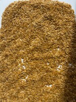 Golden Flaxseed