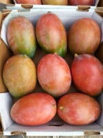 Sprzedam mango rozmiar 7,8,9 pochodzenia l: Dominikana
