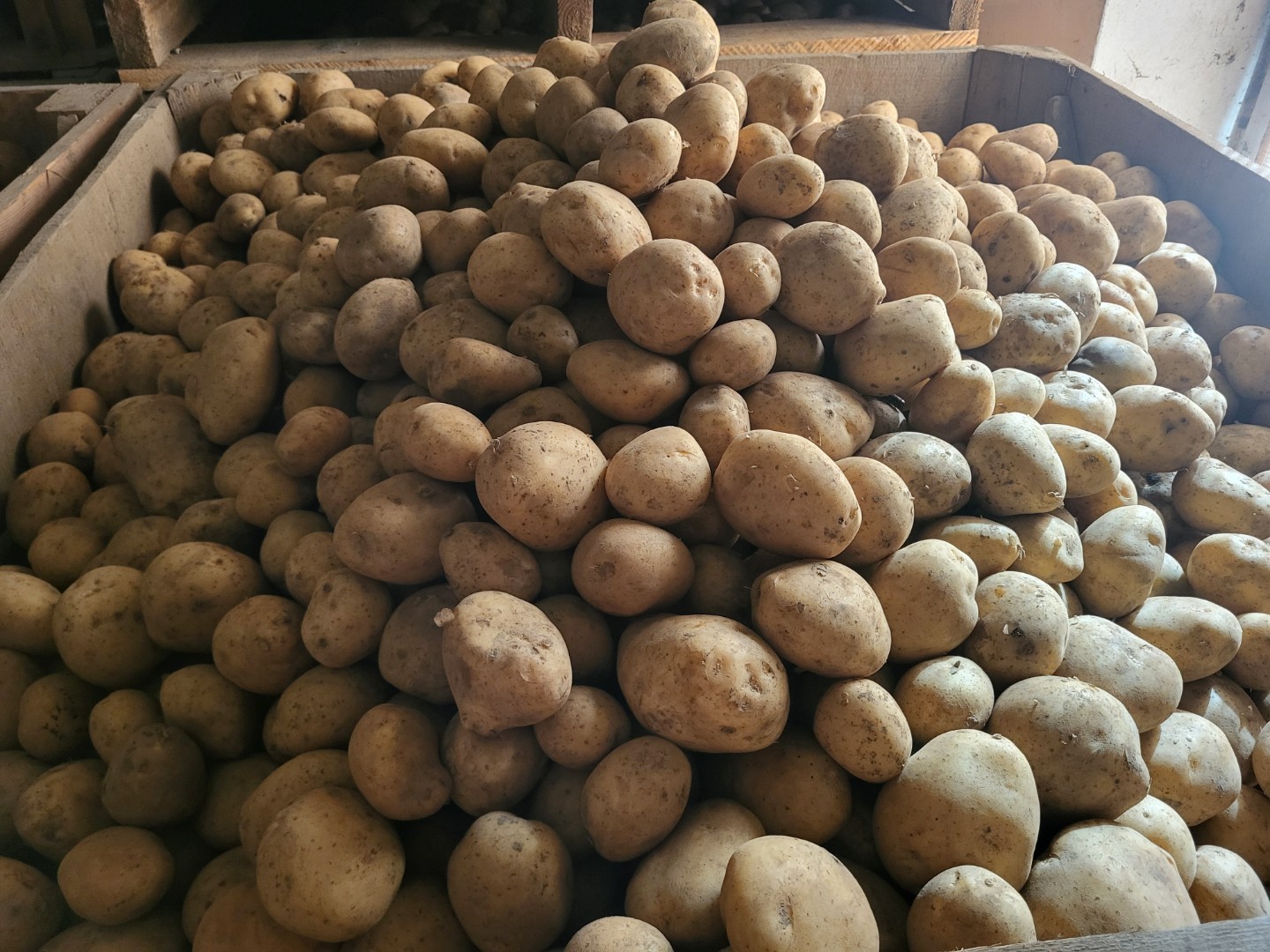 zdjecie-1
