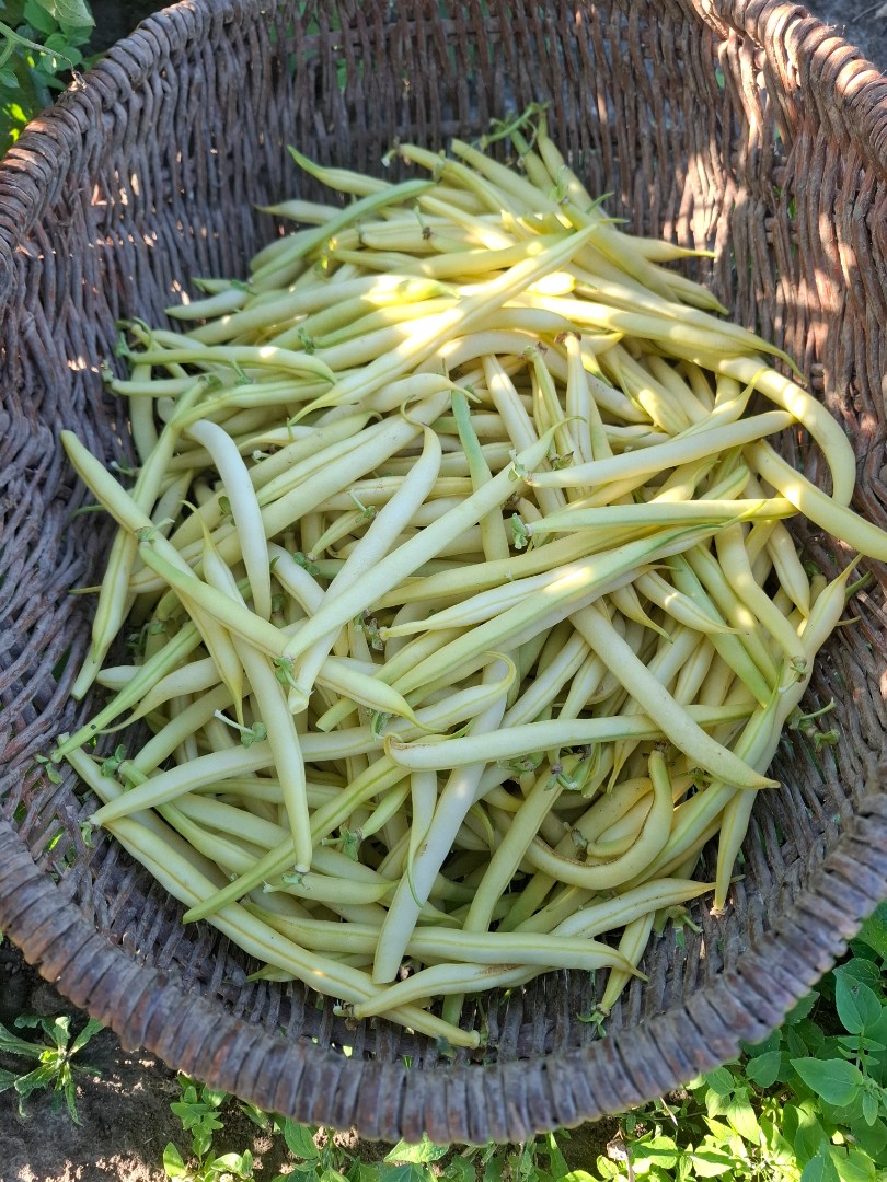 zdjecie-1