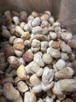 WITAM 
W OFERCIE BOROWIK MROŻONY CAŁY ( 0-4 CM) 

IDEALNY DO MARYNATY , ZDROWY,CZYSTY

KARTON - 15 KG

KRAJ POCHODZENIA : POLSKA

ILOŚĆ OGRANICZONA