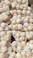 🌱 SPRZEDAM SELER – HANDLOWY, RYNKOWY 🌱 Oferuję na sprzedaż ładny, biały seler, który po umyciu prezentuje się bardzo dobrze i nadaje się na rynek.
✅