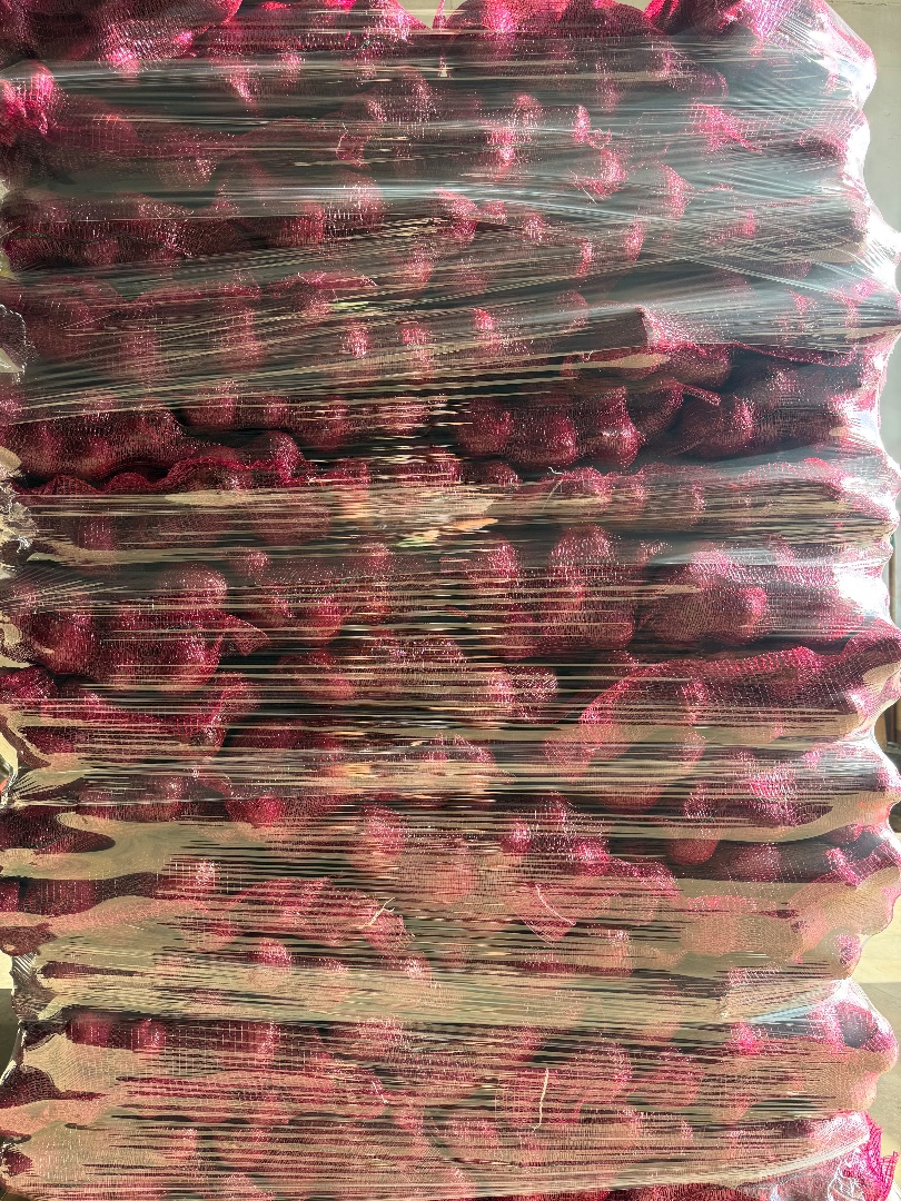 zdjecie-2
