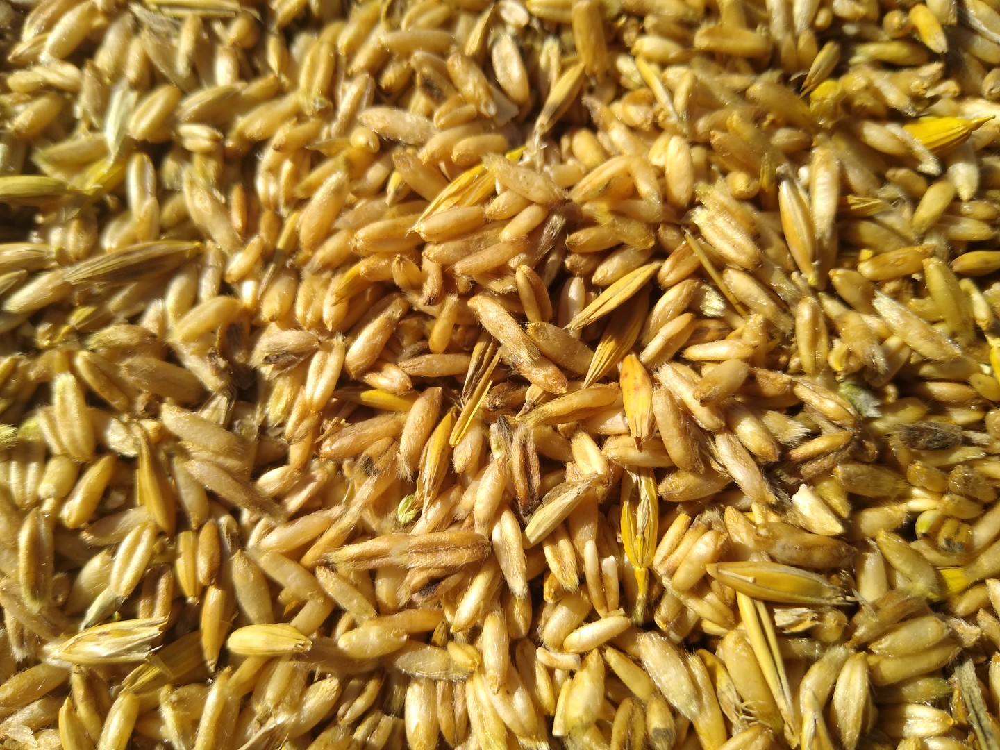 zdjecie-2