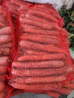 Sprzedam marchew układana 10kg worek