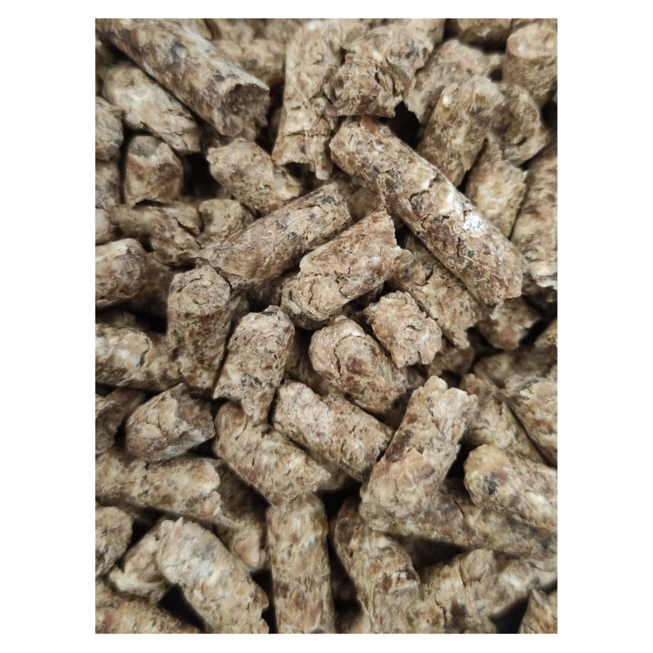 zdjecie-5