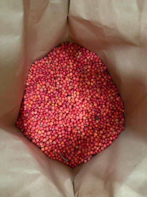 zdjecie-1