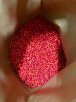 Jarzębiny (Rowanberries). IQF; Class B; 25kg bags.