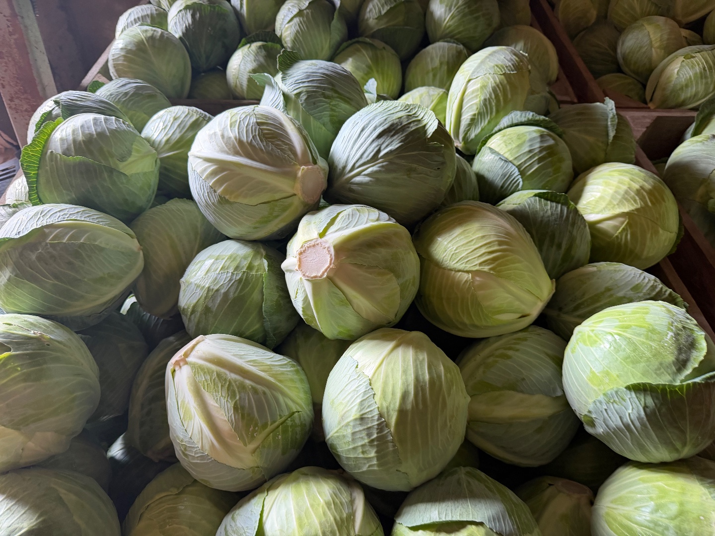 zdjecie-4