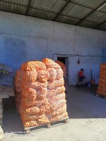 Sprzedam cebulę żółtą 5-8 worek 10- 15 kg super jakość. Ilości tirowe i i paletowe na życzenie polecam