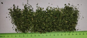 Czosnek niedźwiedzi – pochodzenie: Polska 🇵🇱 
💰 Cena: 80,90 zł/kg
📦 Minimalne zamówienie: 1000 kg
🚚 ilość ograniczona , pełne badania
