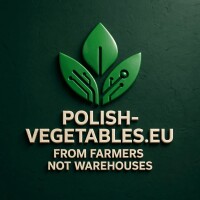 Nawiążemy współpracę z producentem cebuli typu Stuttgard caliber 4+. Ilości tirowe.
