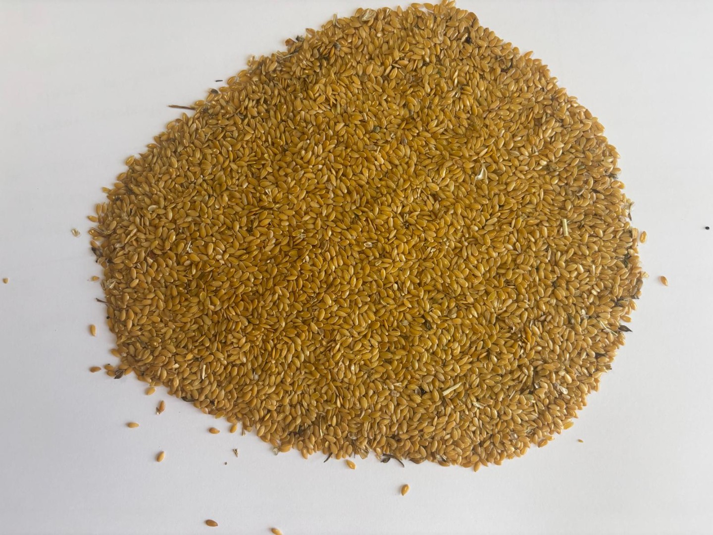 zdjecie-1