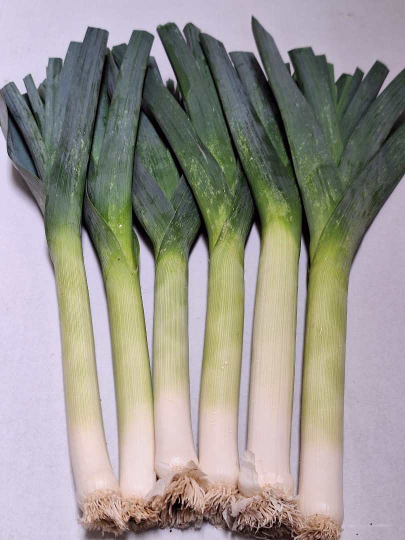 zdjecie-1