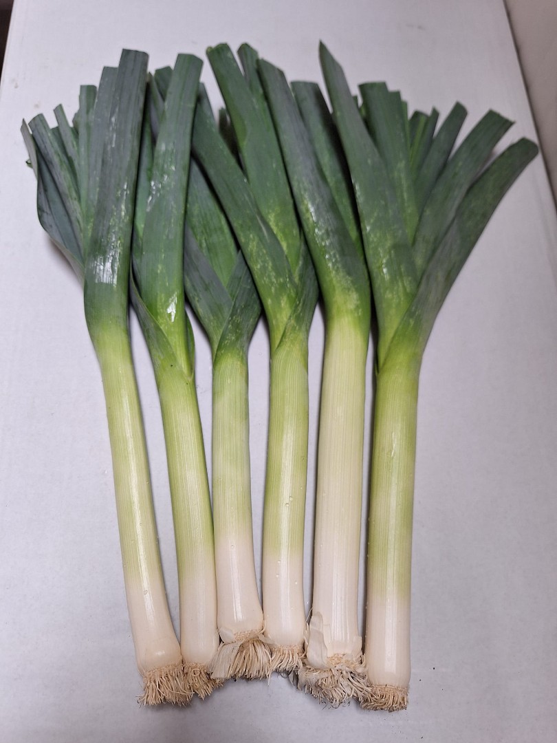 zdjecie-2