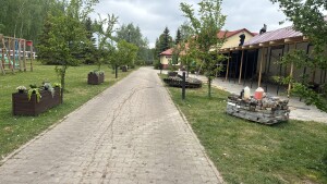 Praca dla stajennego bądź małżeństwa w gospodarstwie rolnym w ośrodku jeździeckim praca przy koniach od zaraz z zamieszkaniem na miejscu dobre warunki
