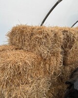 🌾 BELE SŁOMY NA SPRZEDAŻ-ŚWIETNA OKAZJA! 🌾Skontaktuj się ze mną, aby uzyskać więcej informacji, zadzwoń / WhatsApp:+45 81 81 18 48