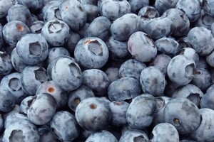 Kupie borówkę przemysłowa 14+ najlepiej jak największą lekko miekka :) płace od 10 do 12 zł . Im wieksza tym lepiej zaplace tylko owoce całe ! Moze by