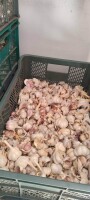 Sprzedam czosnek przemysłowy cena 8 zł/kg istnieje możliwość wysyłki paczka do 30 kg. Zainteresowane osoby proszę o kontakt tel. 692360145. Posiadam o