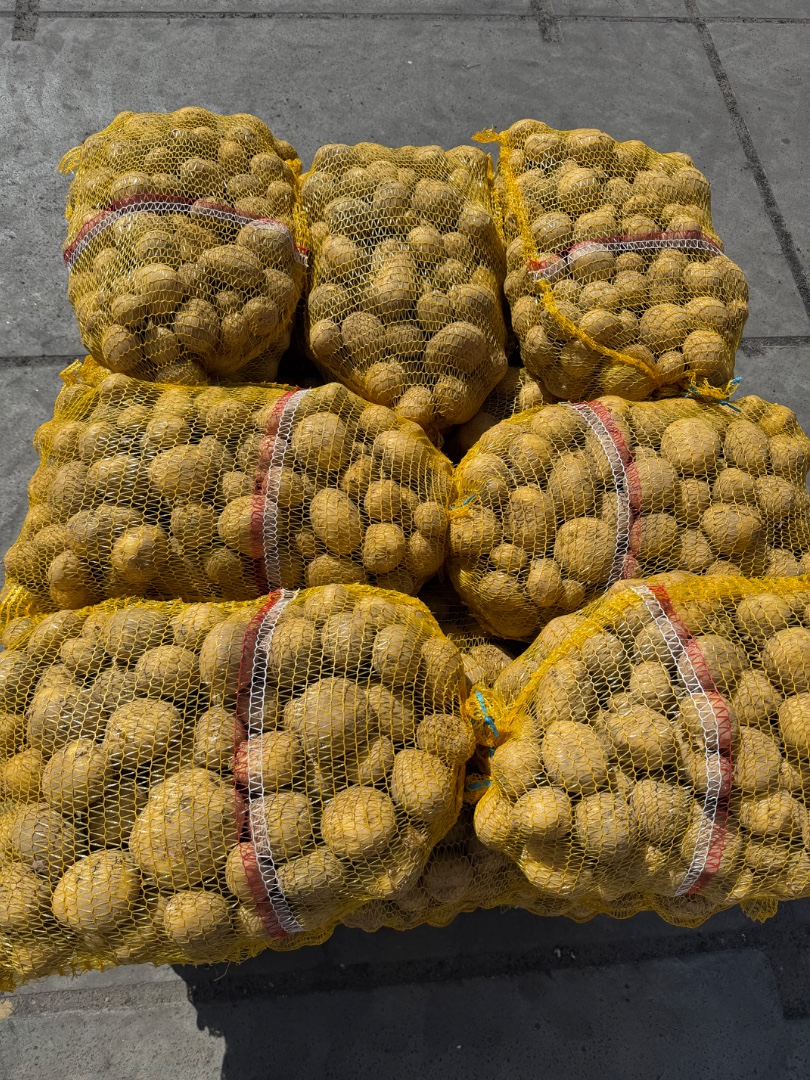 zdjecie-1