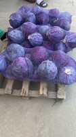 Sprzedam 20t kapusta czerwone ,1-3kg,Rumunia