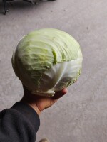Witam Sprzedam Kapustę białą  Cena do uzgodnienia 
Więcej pod nr tel