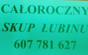 Skupujemy łubin słodki od 1 Tony w całej Polsce. Płacimy przy załadunku