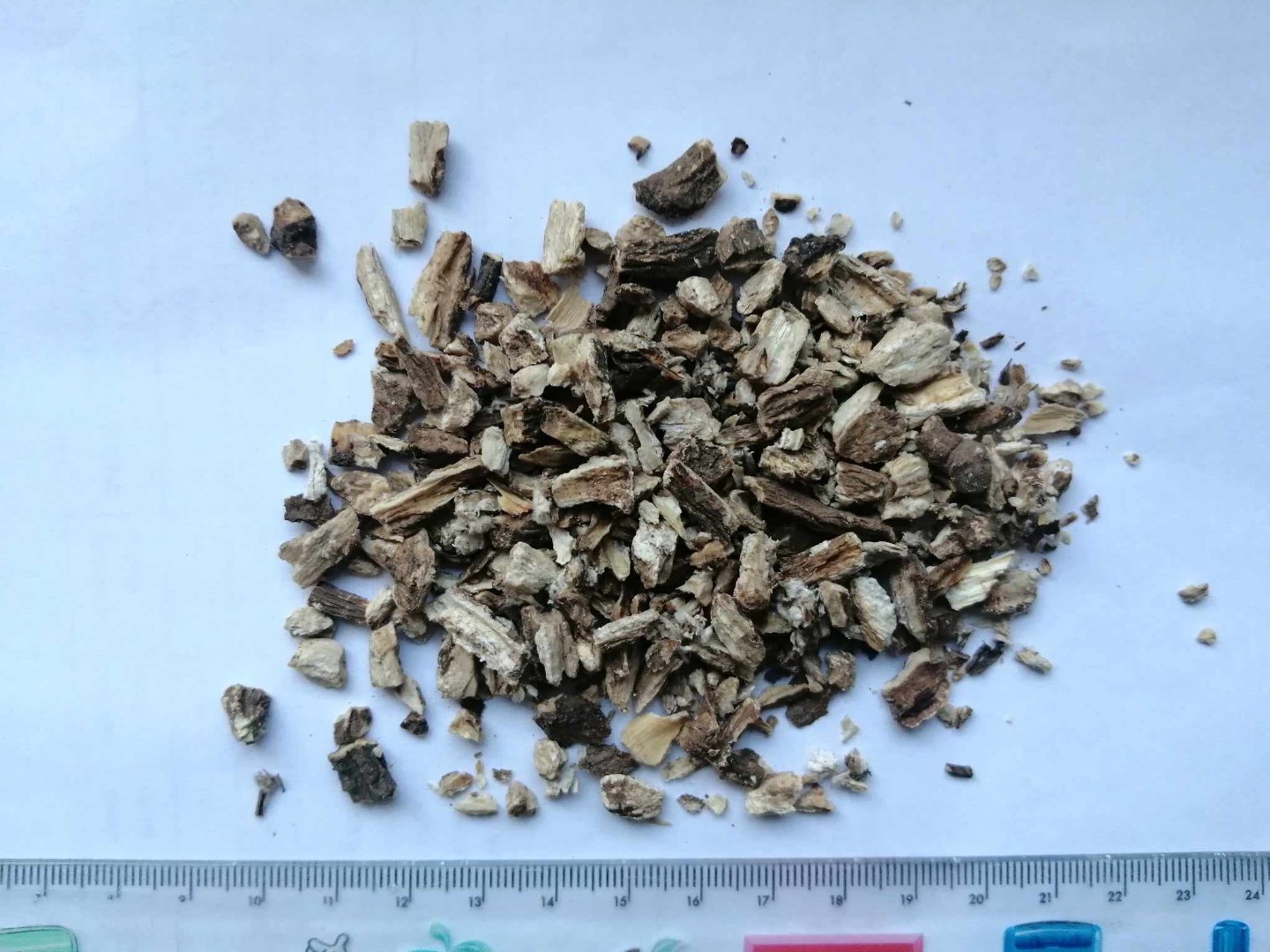zdjecie-1