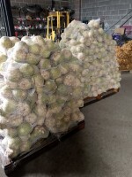Sprzedam seler ładny biały po umyciu może być na brudno opakowanie cena do uzgodnienia