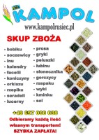 Kupię peluszkę, groch, łubin