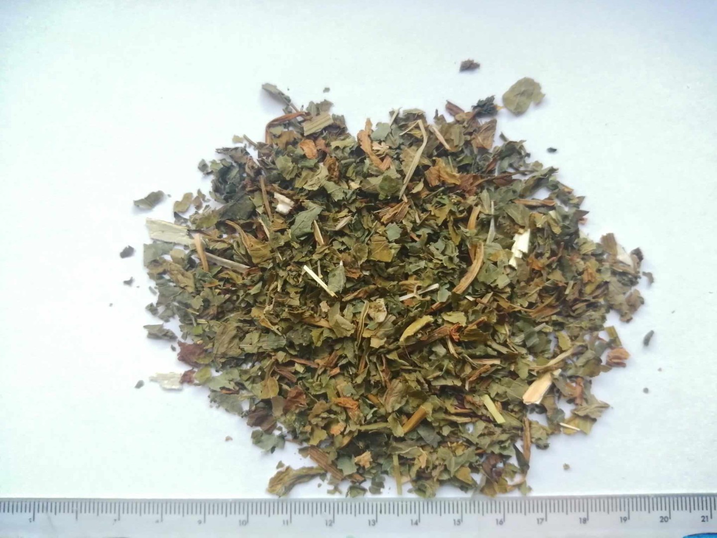 zdjecie-1