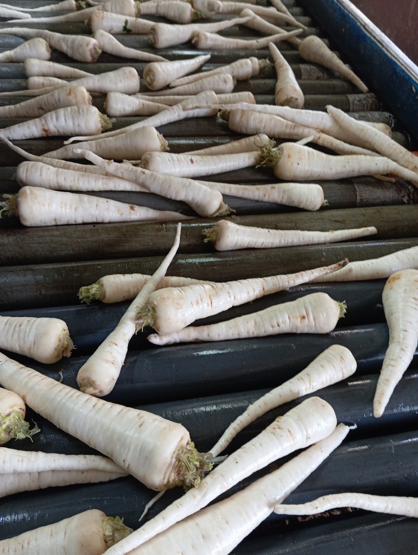 zdjecie-4