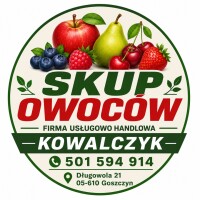 Kupimy borówke do mrożenia przetwórstwa luz GOTÓWKA /Szybki przelew