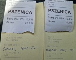 Sprzedam pszenicę 5-6 aut parametry na zdjęciu. Netto 870 zł, płatne na wadze, waga 10 km od gospodarstwa