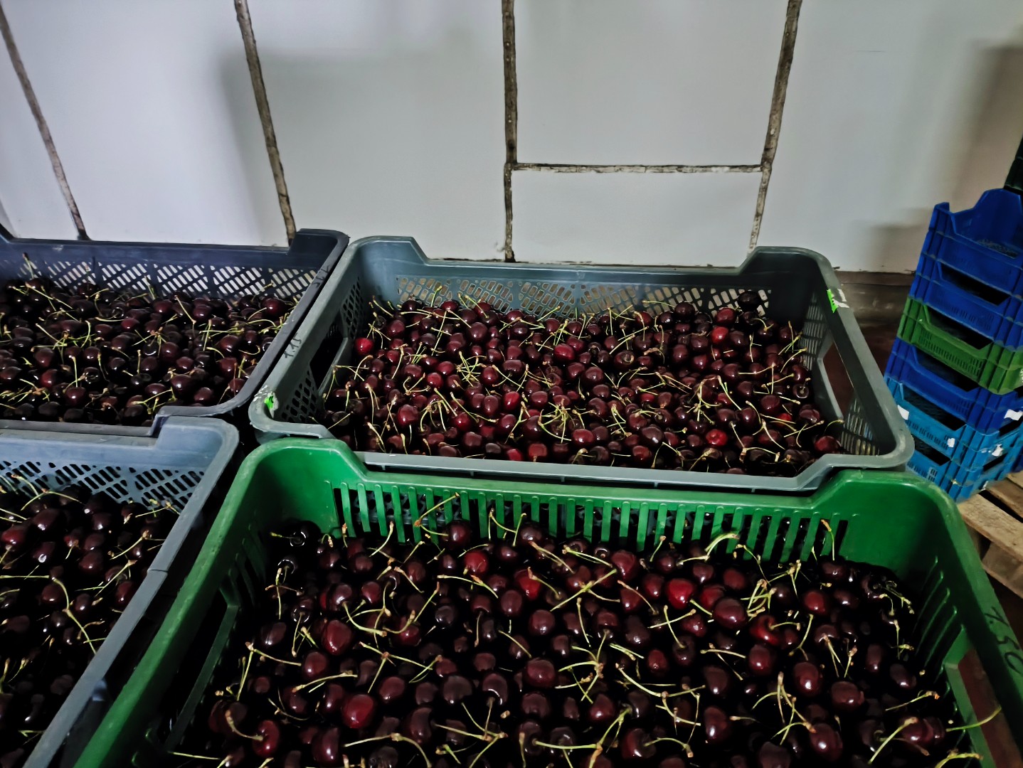 zdjecie-1