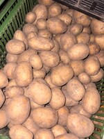 Witam nakopie ziemniaków gala na zamówienie worek 15 kg lub inny ilości większe lub mniejsze
